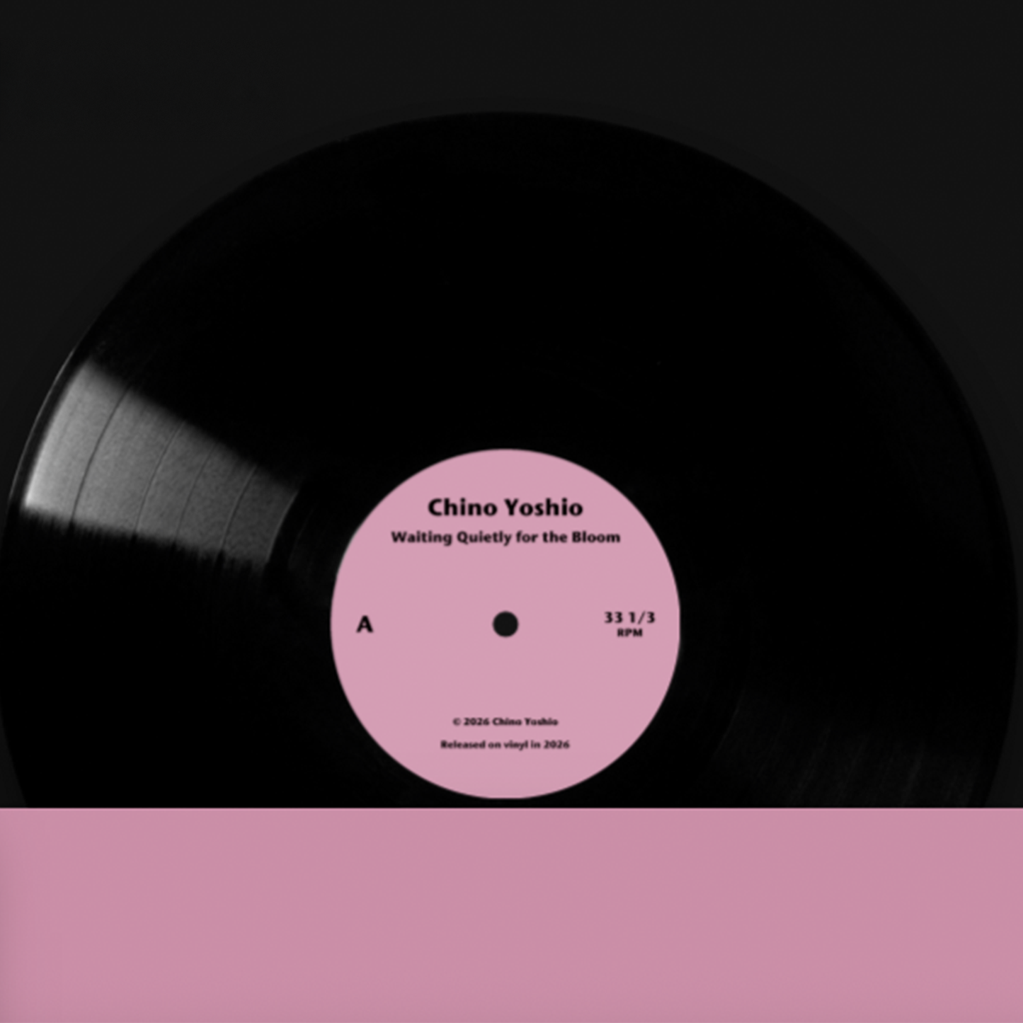 Waiting Quietly for the Bloom – アナログ盤